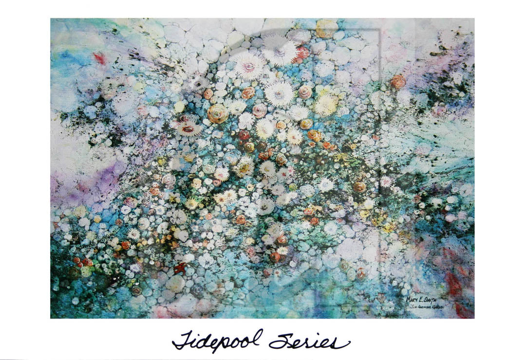 Art Note Cards - set of 12