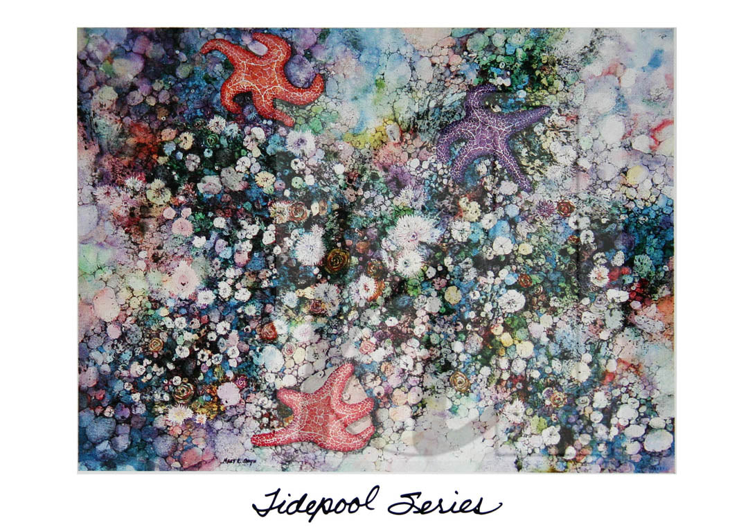 Art Note Cards - set of 12