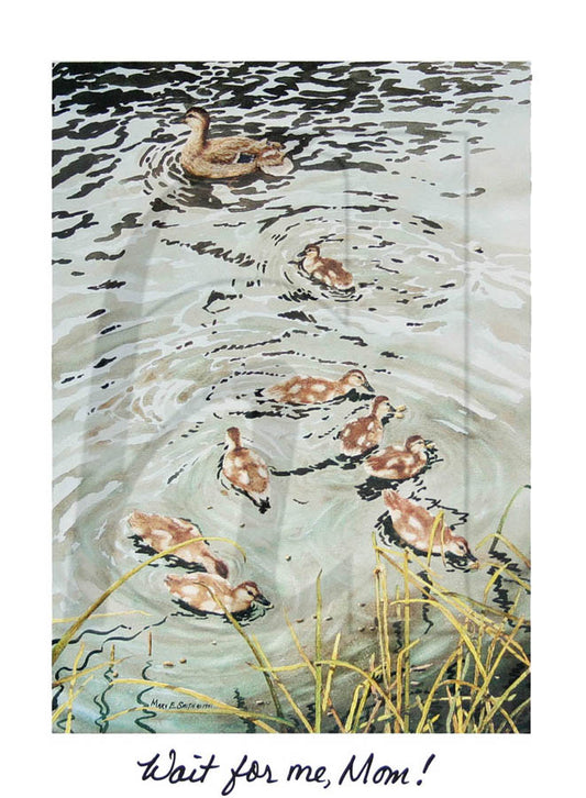 Art Note Cards - set of 12