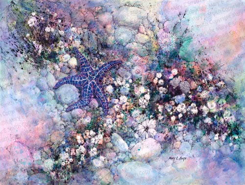 Azure Pisaster - Limited-edition Giclee