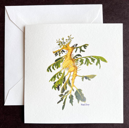 Leafy Sea Dragon Art Card