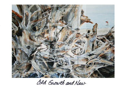 Art Post cards - set of 12
