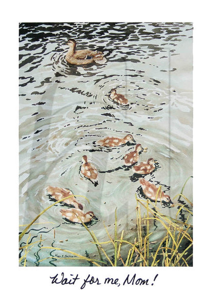 Art Post cards - set of 12